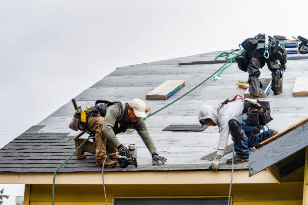 Professional Storm Damage Roof Repair technician working in White Plains, KY